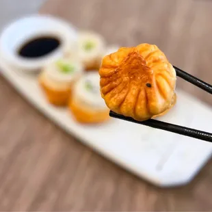 Dumpling Story