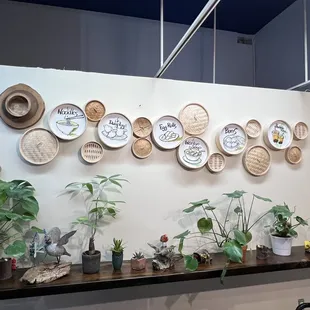 a wall of plates and plants