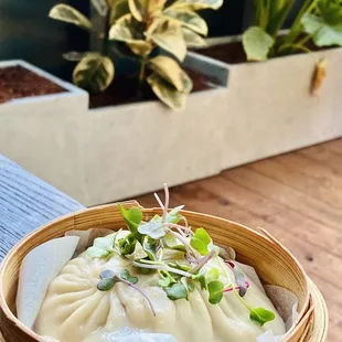 Giant XLB