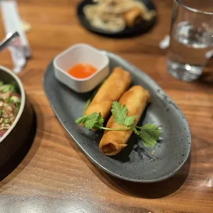 Crispy Vegetable Spring Rolls