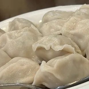 Chicken Cilantro Dumpling