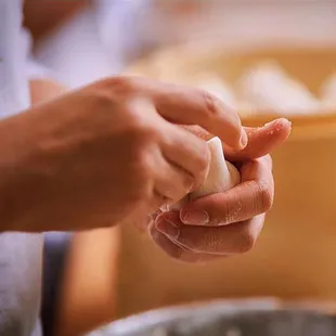 Handmade soup dumplings