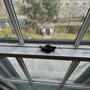 Dirty window frame
