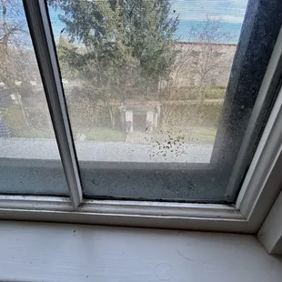 Dirty bathroom window