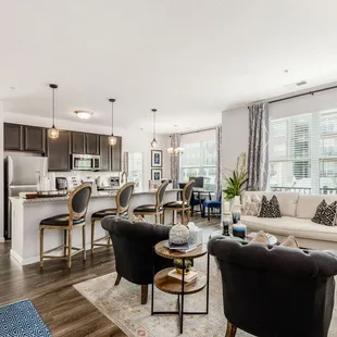 Living Room and Kitchen