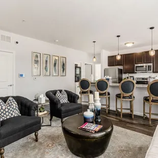 Living Room and Kitchen