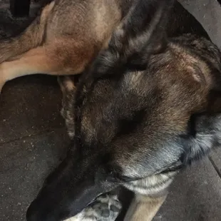 Erie is a fan of the patio.