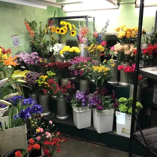 Large section of flowers 10/7/17