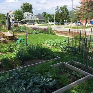 Community garden