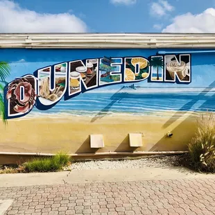 Graffiti Dunedin Style