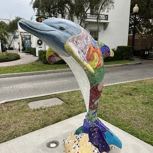 Feeling dandy in Dunedin