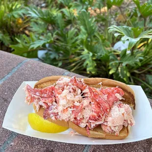 Lobster roll