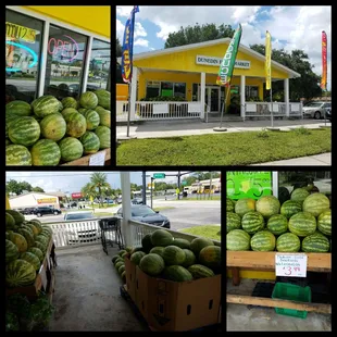 a variety of watermelons