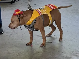 Safety Harbor Farmers Market