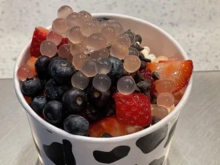 Urban Yogurt