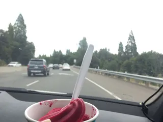 The Whistle Stop Yogurt