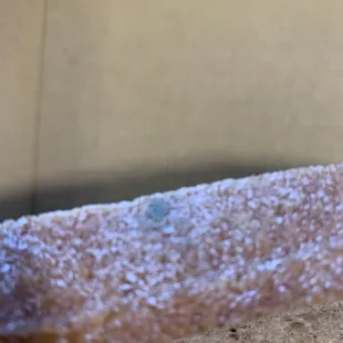 Mold- sourdough bacon egg sandwich- no thank you