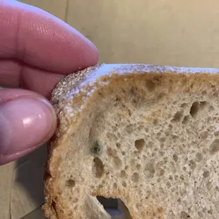 Mold- again, no thank you