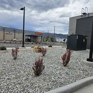  a view of a parking lot with a parking meter in the foreground
