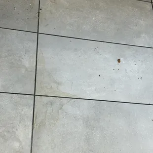 And likewise with the disgusting floors