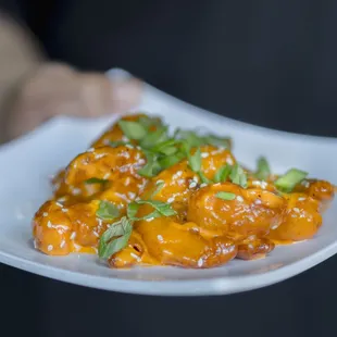 a person holding a plate of food