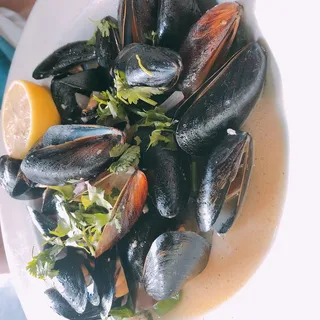 Mussels