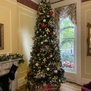 One of our trees in the front room usually seen from mid November to early January
