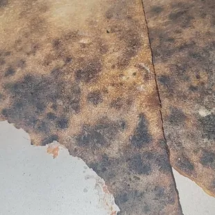 I told the guy that both $6 slices were burnt, and he said sorry but didn't offer a refund or to get me another slice.