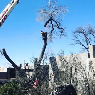 Removal with a Crane