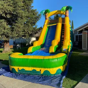 22 ft tall palm trees waterslide