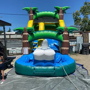 17 ft palm trees waterslide