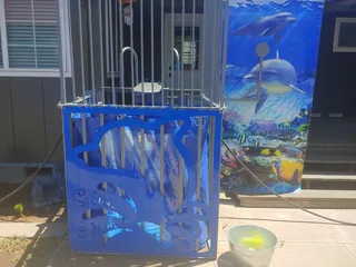 Jumper Madness and Event Rentals