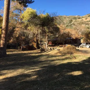 The property. Be ready for rustic