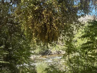 Camp Three Campground