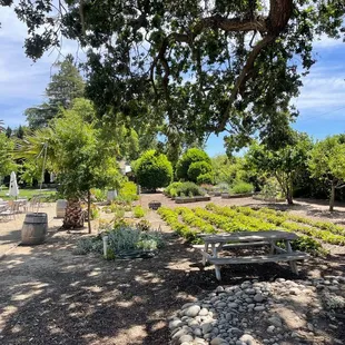 More beautiful outdoor ground photos