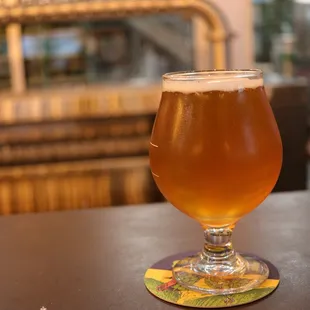 Tomorrow's Clear $7.75 Full Pour - 7.3% ABV IPA