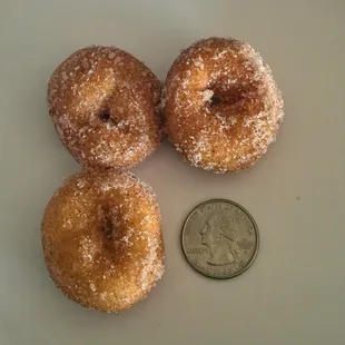 Dusty Donuts Mini Donuts