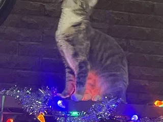 The Community Lighthouse