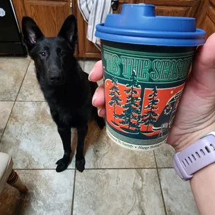 Even the pup is jealous!