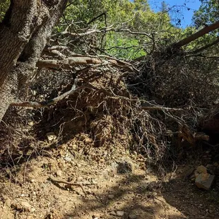 Trail not maintained