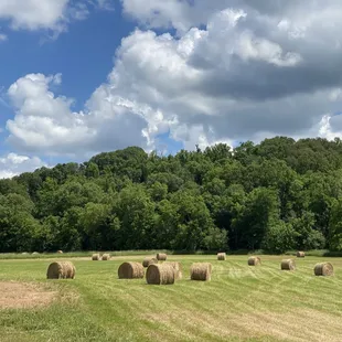 Beautiful Athens County countryside.