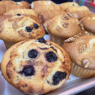 Blueberry muffin