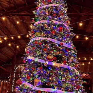 a christmas tree decorated with lights