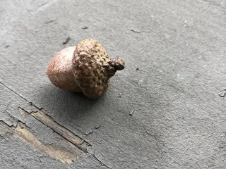 Schroeder's County Park