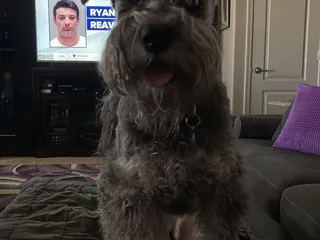 Valley Verde Veterinarians