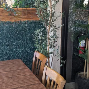 Olive tree outside. The olives are fake, but it makes for a nice touch!