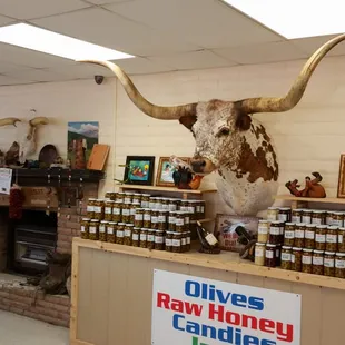 Latest addition to the family,  Dwayne Jr.