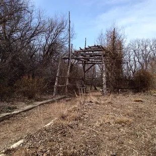 Bird watch area