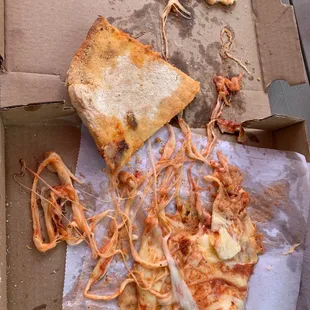 We tried to eat the pizza because we are not complainers!