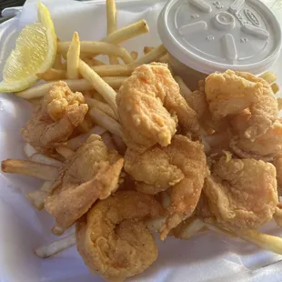 10pc Shrimp with fries